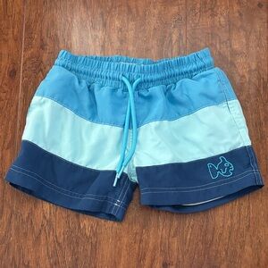 Blue Striped Prodoh Swim Shorts